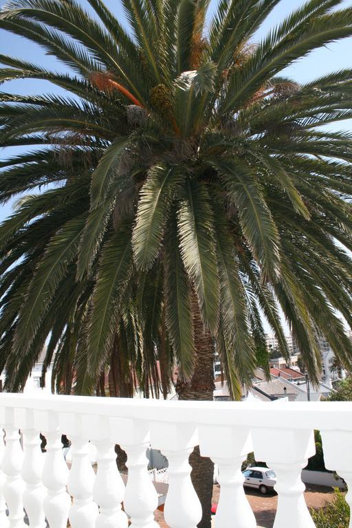 Africanhome Guesthouse Cape Town Exterior photo